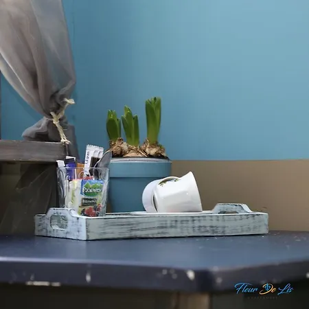 Fleur De Lis Casa de hóspedes Bergen