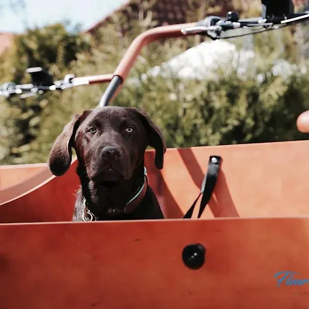 Casa de hóspedes Fleur De Lis